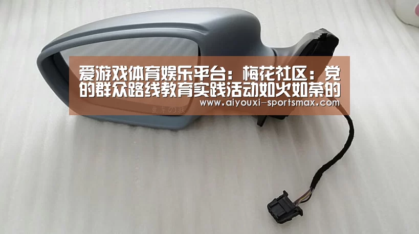 爱游戏体育娱乐平台:梅花社区:党的群众路线教育实践活动如火如荼的展开(图3) 爱游戏滚球