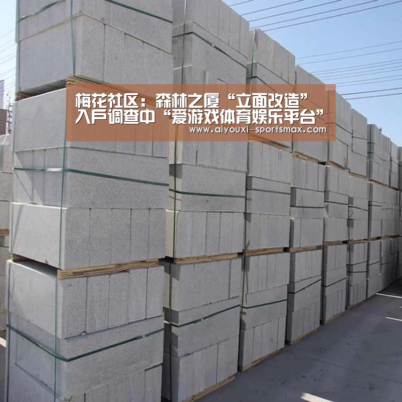 梅花社区：森林之厦“立面改造”入户调查中“爱游戏体育娱乐平台