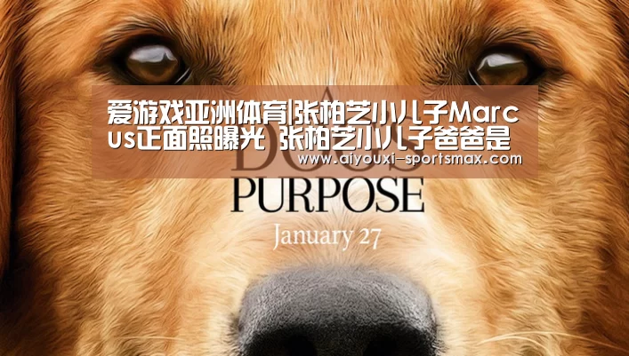 爱游戏亚洲体育|张柏芝小儿子Marcus正面照曝光 张柏芝小儿子爸爸是谁(图1) 爱游戏体育娱乐平台