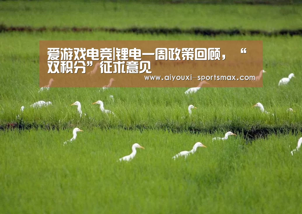 爱游戏电竞|锂电一周政策回顾,“双积分”征求意见(图1) 爱游戏电竞
