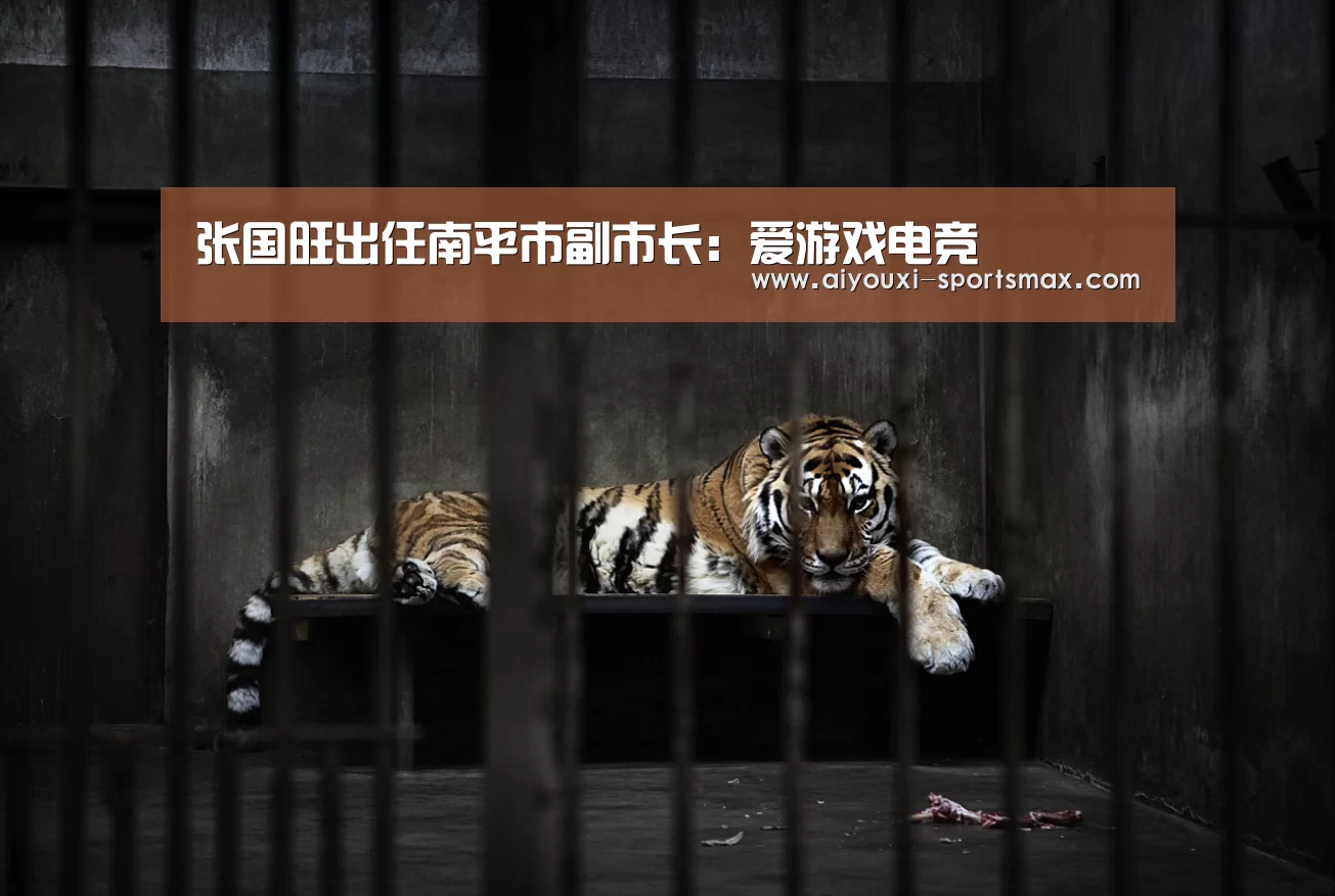 爱游戏滚球